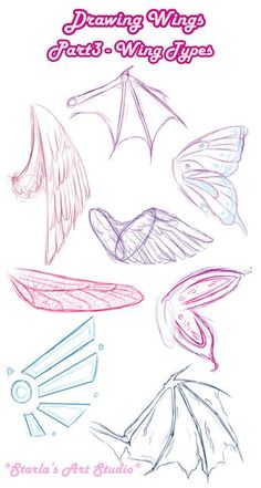 an image of some different types of wings and umbrellas on a white background with the words, drawing wings just wing types