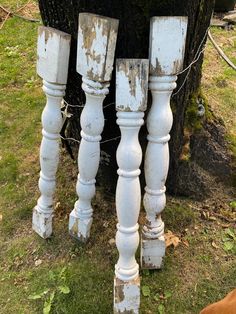 three white wooden posts are standing next to a tree