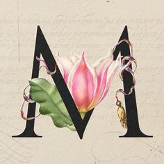 Enchanted Garden | premium image by rawpixel.com / Boom M Alphabet, Floral Alphabet, Png Floral, Paper Vintage, Alphabet Art, Letter M, Floral Letters, Enchanted Garden