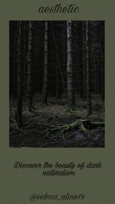 a book cover with trees in the background and text above it that reads, aesthetic