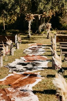 rows of wooden benches lined up in the middle of a field with cow hide rugs on them