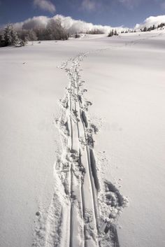 a trail in the snow with trees and clouds in the background royalty images, stock photos