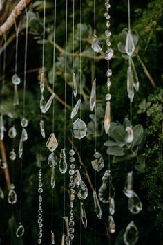 a bunch of glass beads hanging from a tree in front of some plants and trees