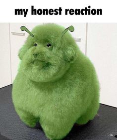 a green stuffed animal sitting on top of a black table with the caption my honest reaction