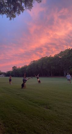 several people playing frisbee in a field with trees and pink clouds behind them