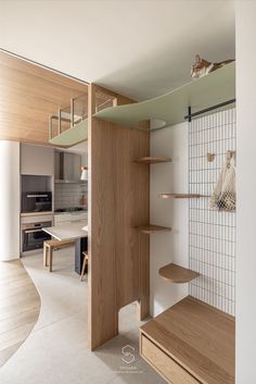 a cat is sitting on top of a shelf in a room with white walls and wooden shelves