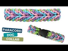 the paracord dog collar is multicolored