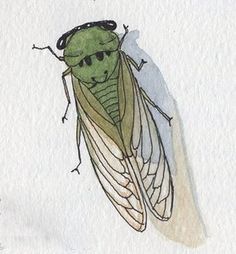 a watercolor drawing of a green insect on white paper