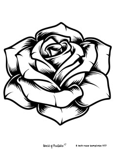 a black and white drawing of a rose