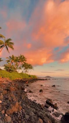 palm trees line the shore of a rocky beach at sunset with pink clouds in the background