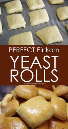 an image of pastries being made in the oven with text overlay that reads perfect enkon yeast rolls