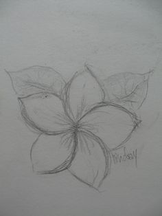 a pencil drawing of a flower with leaves on the petals and words written below it