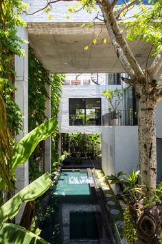 an indoor swimming pool surrounded by greenery and trees in front of a white building