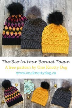 the bee in your bonnet crochet hat pattern is shown with two pom poms