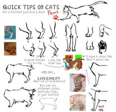 an image of cats that are drawn in different ways with the caption'quick tips on cats '