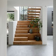 the stairs in this modern house are made of wood and white concrete, with planters on each side