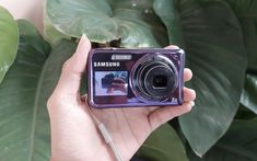 a person holding up a camera in front of some plants