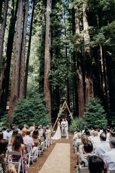 a couple getting married in the middle of a forest with lots of trees around them