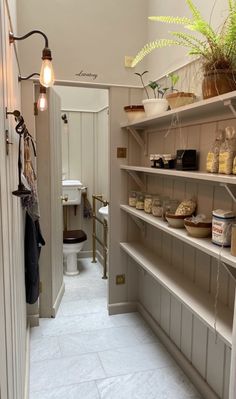 a long narrow hallway with shelves filled with plants and other items on the wall next to a toilet