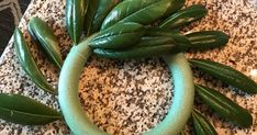 a green ring made out of leaves on top of a counter