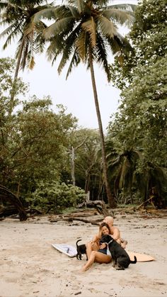 a man and woman sitting on the beach with surfboards in front of palm trees