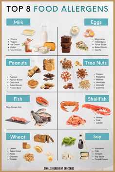 Shellfish Allergy, Tree Nut Allergy, Starting Solids, Food Substitutions