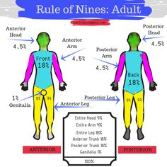 the rules for an adult to wear in wetsuits and swimming suits are shown