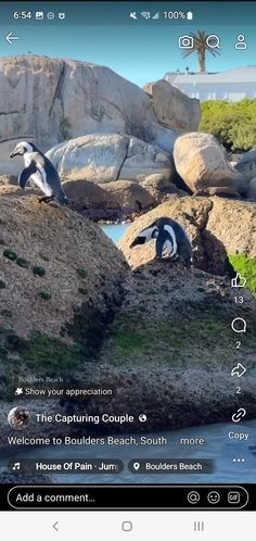 Boulder Beach, Bouldering, South Africa