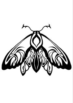 a black and white drawing of a moth