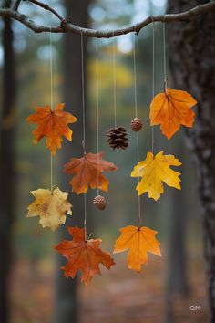 autumn leaves and pine cones hanging from a tree branch