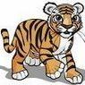 tigar308