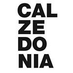 calzedonia