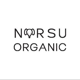 norsuorganic