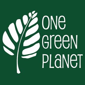 onegreenplanet