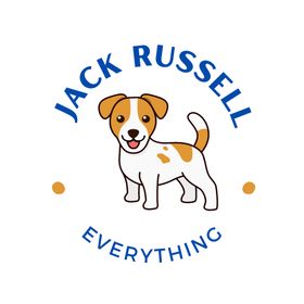 everythingjackrussell