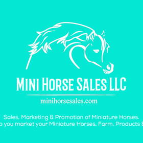 minihorsesales