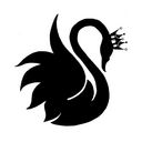 designswan