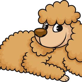 poodleheadquarters