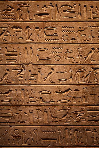 Ancient Egyptian Hieroglyphics, Egypt Museum, Ancient Writing, Ancient Egyptian Symbols, Egypt Tattoo, Arte Steampunk, Ancient Egypt Art, Egyptian Tattoo, Visit Egypt