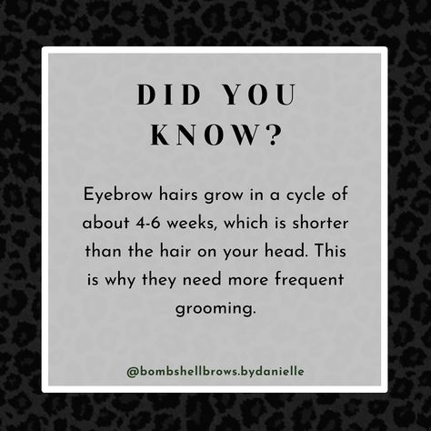 🌱 It takes about 3–6 months for full regrowth 🌿Here are some natural products that you can use to speed up and nourish your eyebrow hair regrowth: • Castor oil • Jojoba oil • Aloe Vera • Rosemary oil • Coconut oil • Vitamin E oil • Fenugreek Seeds @bombshellbrows.bydanielle #eyebrows #brows #eyebrowgrowth #eyebrowgrooming #browserum #natrualhair #natrual #carrieroils #castoroil #Aloevera #coconutoil #rosemaryoil #holistic Eyebrow Grooming, Eyebrow Growth, Brow Serum, Rosemary Oil, Fenugreek Seeds, Oil Coconut, Hair Regrowth, Vitamin E Oil, Carrier Oils