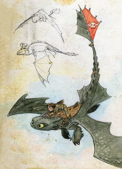 How To Train Your Dragon Watercolor, Httyd Drawings, Summer Drawings, Httyd Art, Art Bases, Hiccup And Toothless, Dragon Sketch, Httyd Dragons, Dragon Trainer