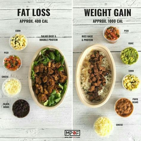 Pasti Fit, Delicious Meal Prep, Meal Prep On Fleek, 500 Calorie, Meal Prep For Beginners, Weight Gain Meals, Snack Prep, Idee Pasto, Resep Diet