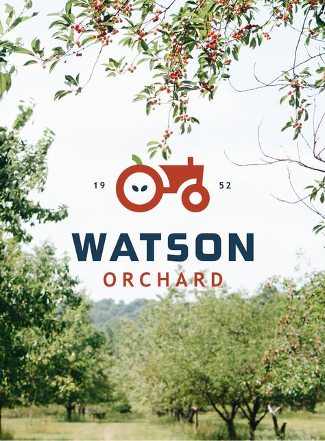 Watson Orchard Beautiful Orchard Design, Orchard Branding, Planning An Orchard, Apple Orchard Svg, Edwards Apple Orchard, Identity Guidelines, Letterhead Business, Brand Identity Guidelines, Apple Orchard