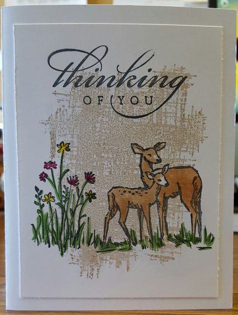 Stampin Up In The Meadow Card Ideas, In The Meadow Stampin Up Cards, Stampin Up Thinking Of You Cards For Men, Rubber Stamping Cards, Guy Cards, Nature Card, Masculine Birthday Cards, Cake Accessories, Hello Cards