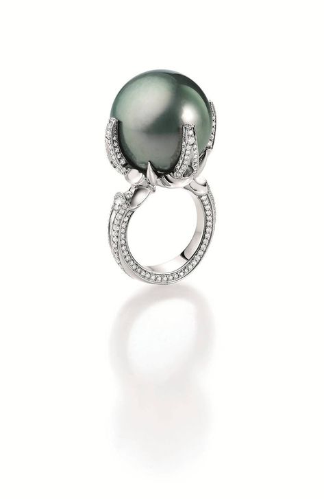 Gellner Tahitian pearl & diamond ring Tahitian Pearl Ring, Mikimoto Pearls, Pearl And Diamond Ring, Diamonds Ring, Bling Rings, Tahitian Pearls, Pearl Diamond, Black Pearl, Tahiti