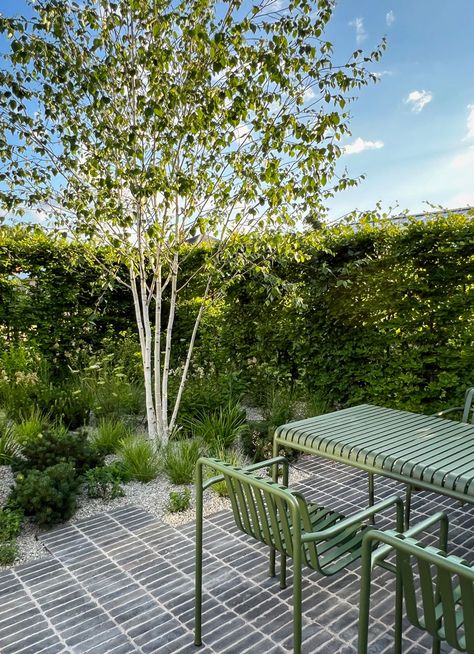 Cambridgeshire Garden | A modern English country garden Modern Gravel Garden, Modern House Garden Design, Modern House Garden, English Patio, Karl Forester, Multistem Trees, Woodland Planting, House Garden Design, Limestone Gravel