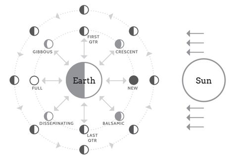 02. The Moon's Phases — Sweet B — Sweet B's Blog The Moon Phases, Moon Phases, The Moon, Astrology, Moon, Crystals