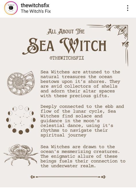 Sea Altar Witches, Sea Witch Wallpaper, Ocean Witchcraft, Witch Correspondence, Water Spirituality, Witch Library, Witchy Mermaid, Sea Magick, Sea Witchcraft