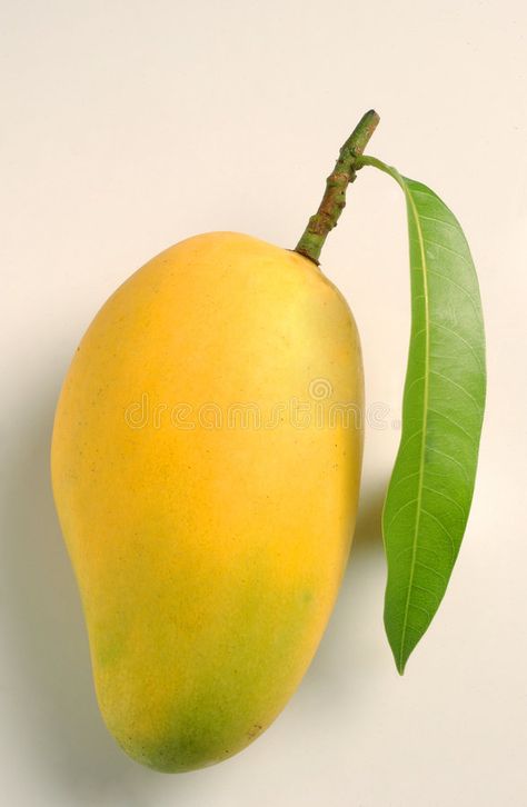 Raspberry with leaf. Isolated on white background , #SPONSORED, #leaf, #Raspberry, #Isolated, #background, #white #ad Mango Images Fruit, Mango Photography Fruit, All Fruits Images, Mango Fruit Photo, Mango Photography, Mango Photo, Mango Images, Fruits Photography, Fruit Photos