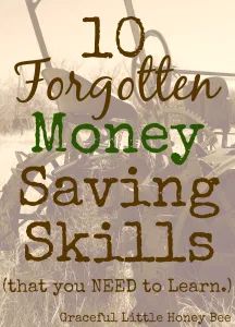 Forgotten Skills, Money Budgeting, Budget Planer, Budget Saving, Dave Ramsey, Frugal Tips, Frugal Living Tips, Budgeting Finances, Budgeting Money